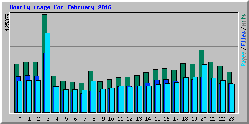 Hourly usage for February 2016