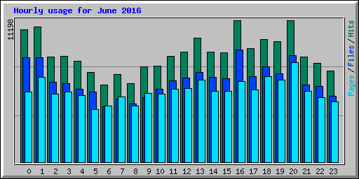 Hourly usage for June 2016